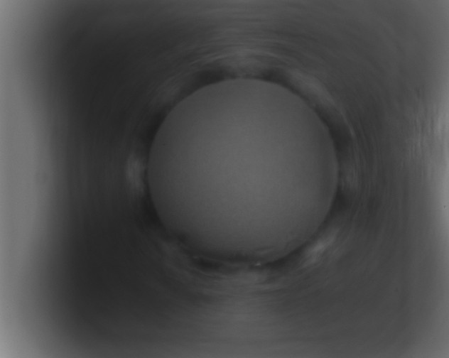 X0000100761010200807031145