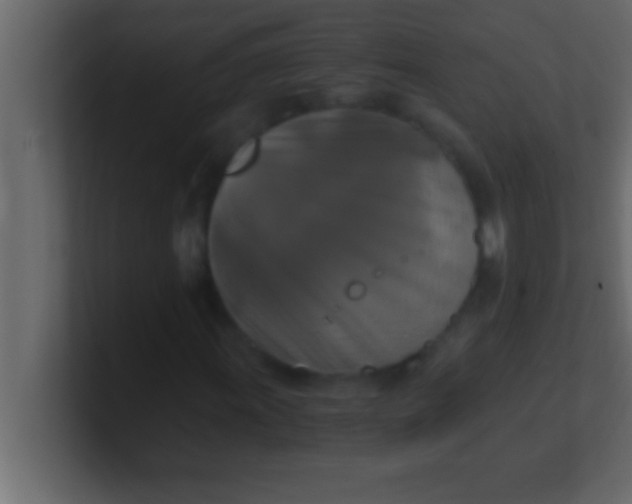 X0000100761011200807031145