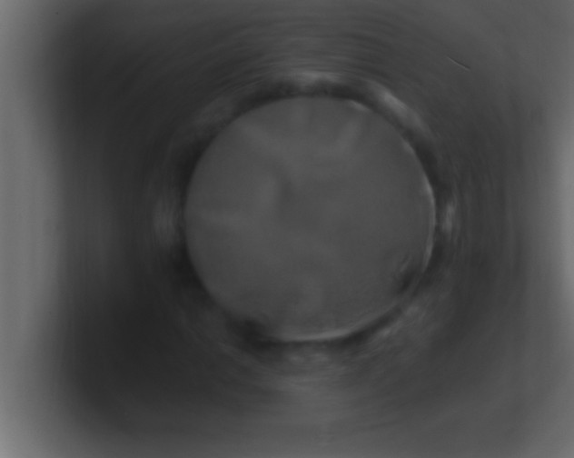 X0000100761014200807031145