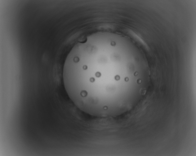 X0000100761015200807031145