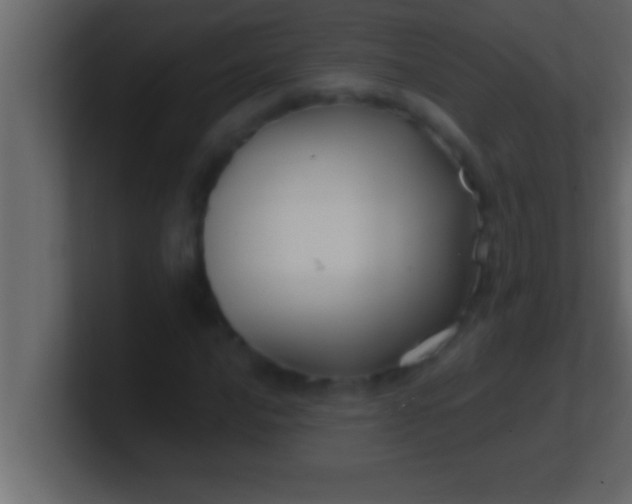 X0000100761016200807031145