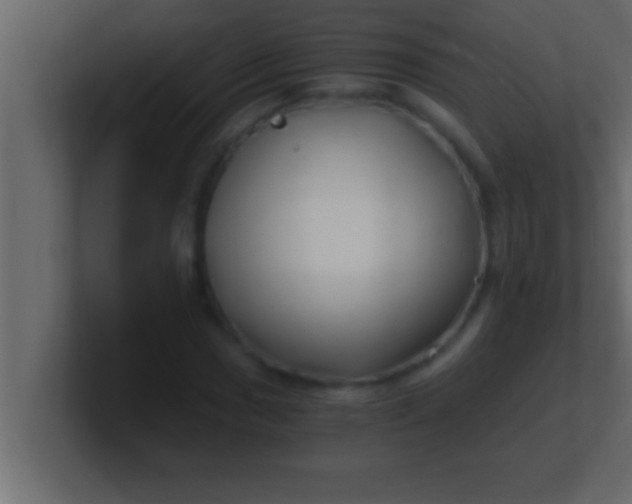 X0000100761017200807031145