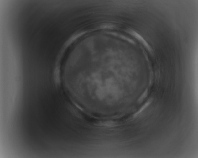 X0000100761019200807031145