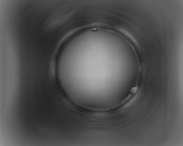 X0000100761021200807031145