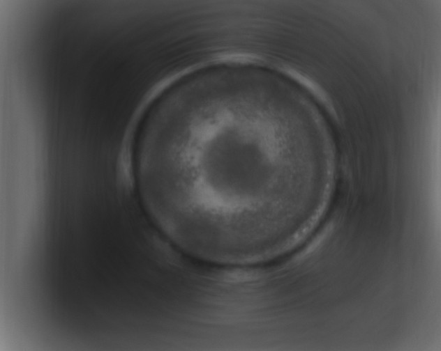 X0000100761022200807031145