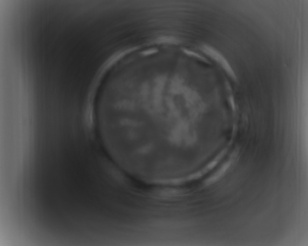 X0000100761027200807031145