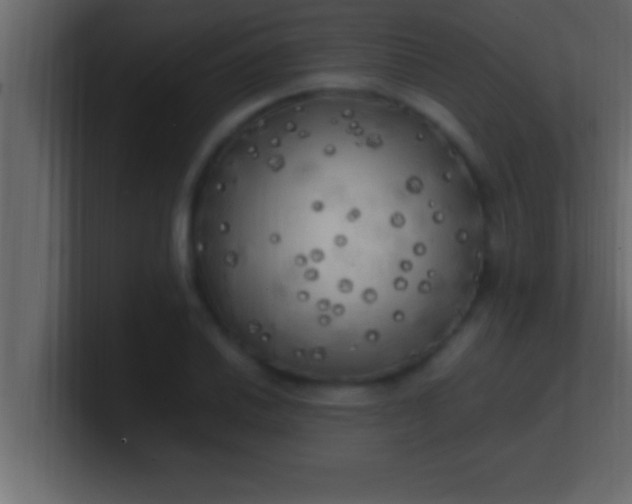 X0000100761030200807031145