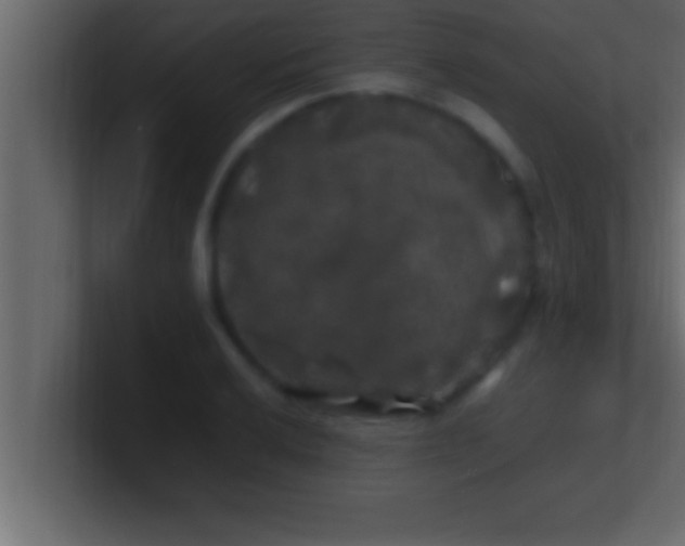 X0000100761032200807031145