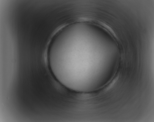 X0000100761034200807031145