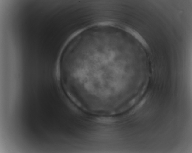 X0000100761036200807031145