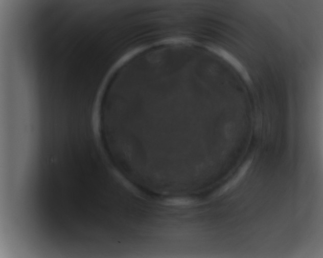 X0000100761037200807031145