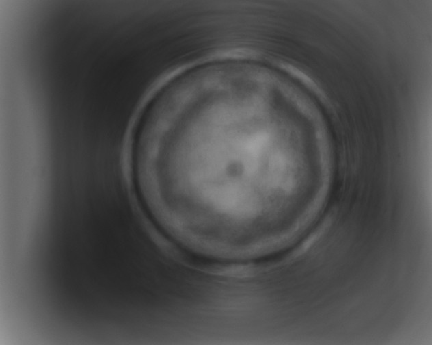 X0000100761038200807031145