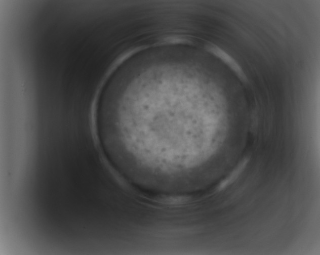 X0000100761039200807031145