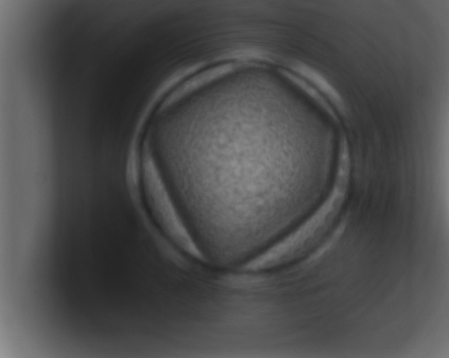 X0000100761040200807031145