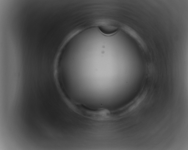 X0000100761042200807031145