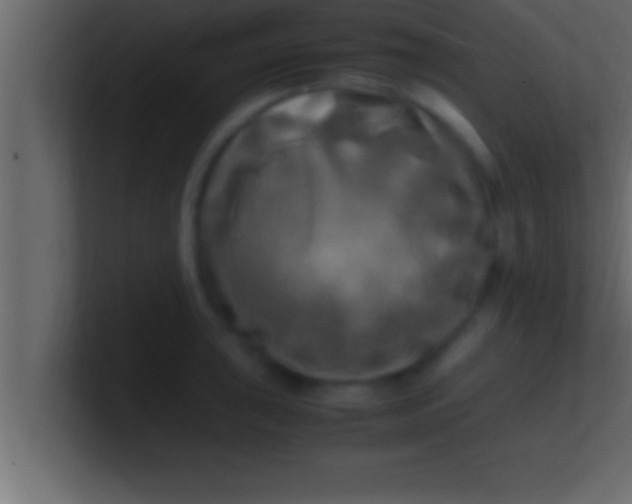 X0000100761043200807031146