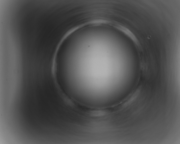 X0000100761044200807031146