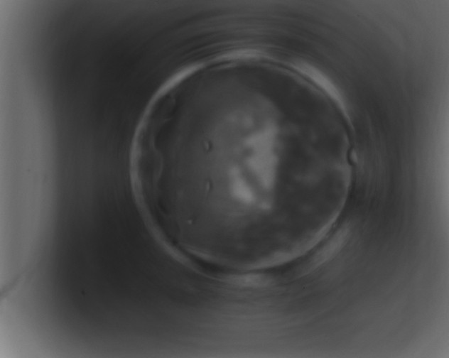 X0000100761045200807031146