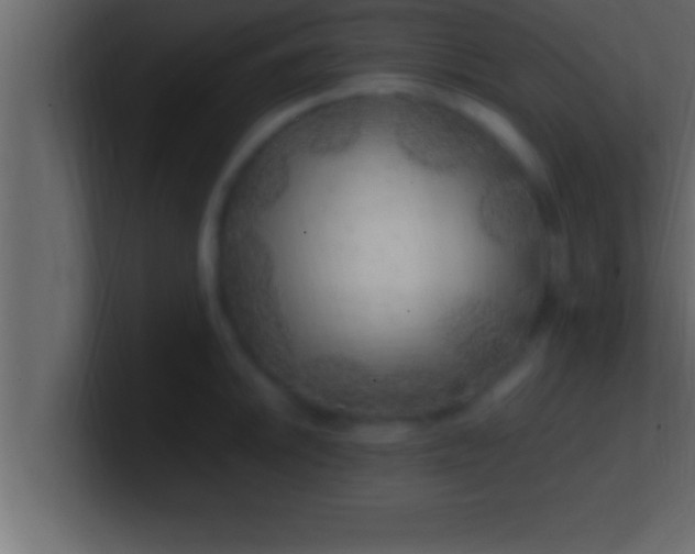 X0000100761046200807031146