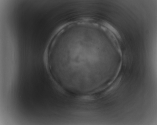 X0000100761047200807031146