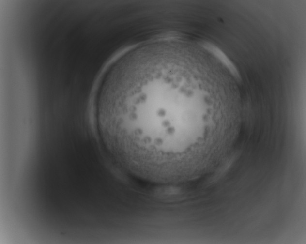 X0000100761051200807031146