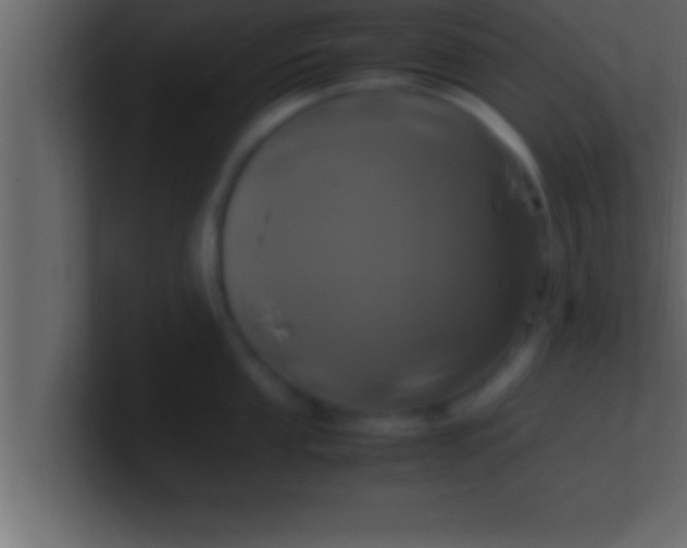 X0000100761053200807031146