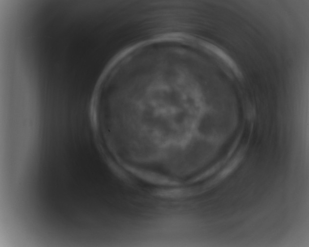 X0000100761054200807031146