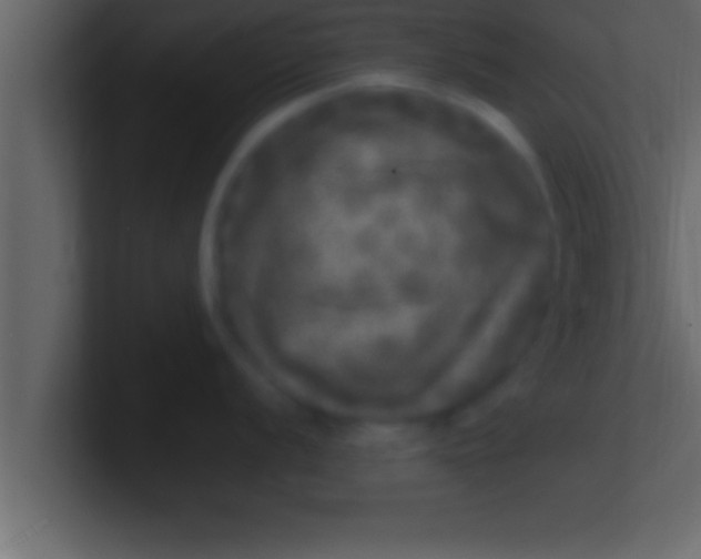 X0000100761056200807031146