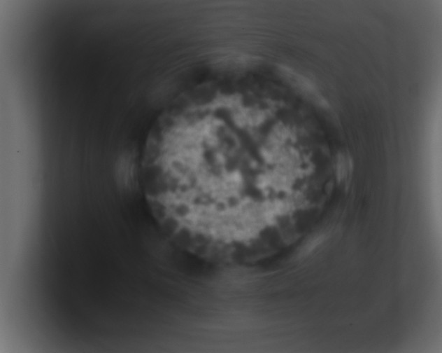 X0000100761059200807031145