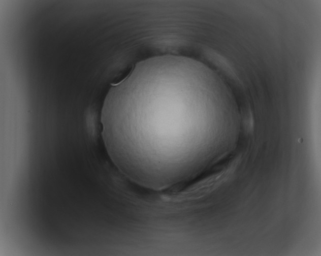 X0000100761060200807031145