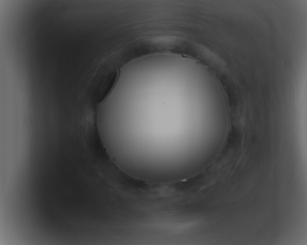 X0000100761061200807031145