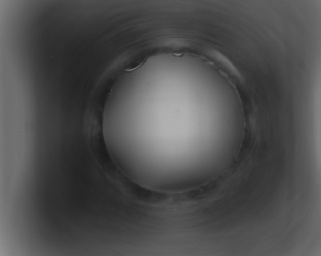 X0000100761064200807031145