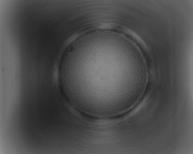 X0000100761065200807031145