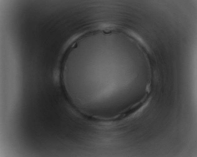 X0000100761066200807031145