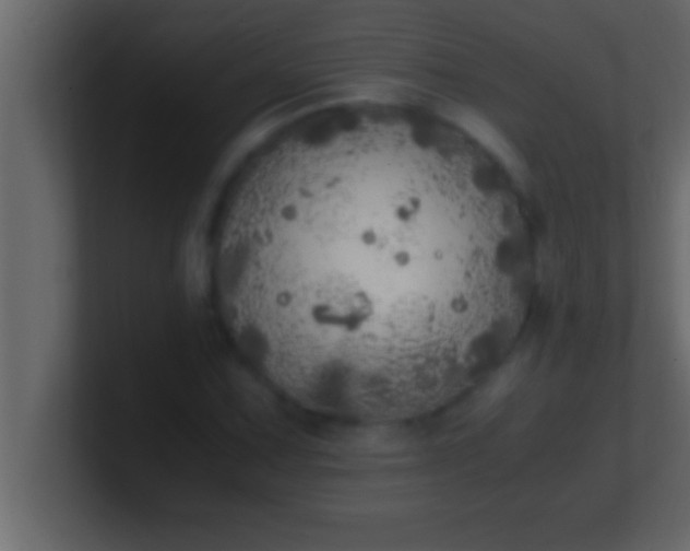 X0000100761067200807031145