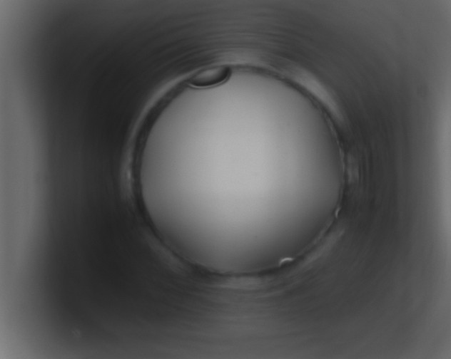 X0000100761068200807031145