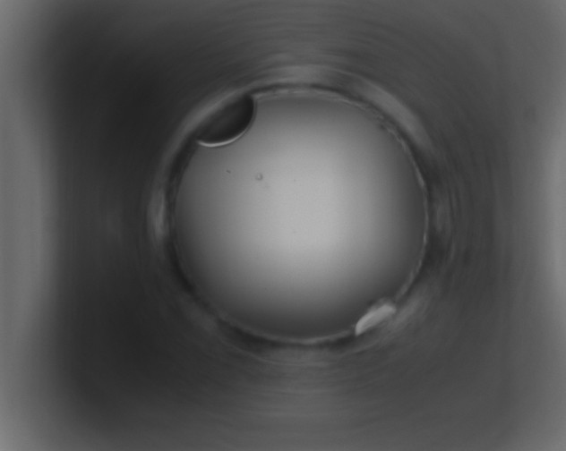 X0000100761069200807031145