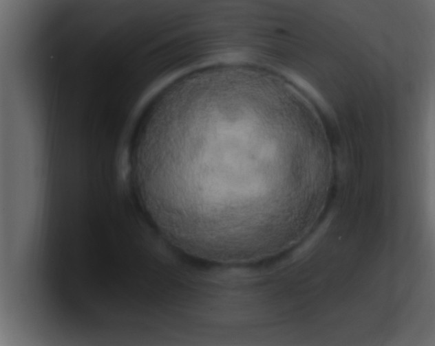 X0000100761070200807031145