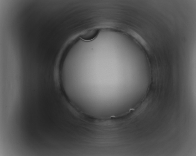 X0000100761072200807031145