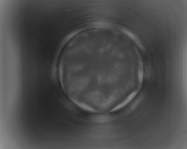 X0000100761074200807031145