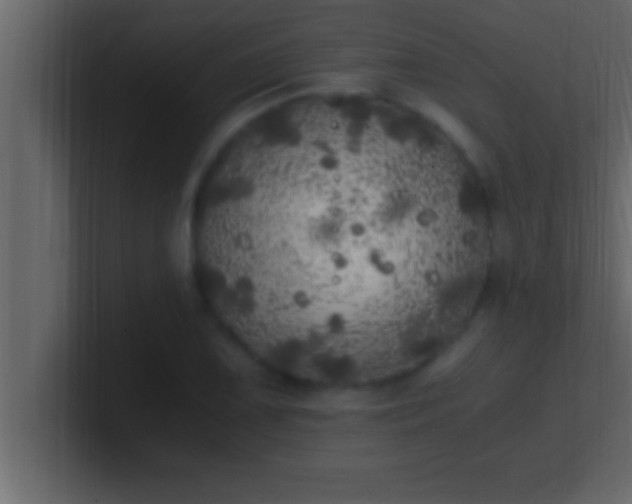 X0000100761075200807031145