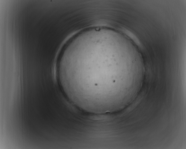 X0000100761076200807031145