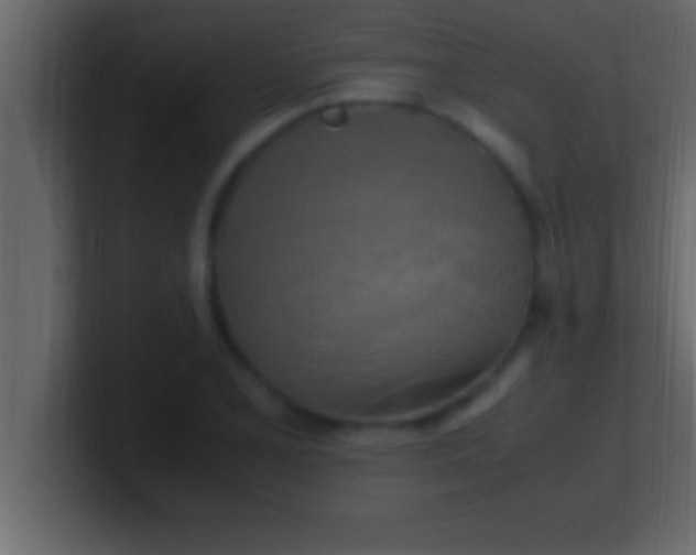 X0000100761077200807031145