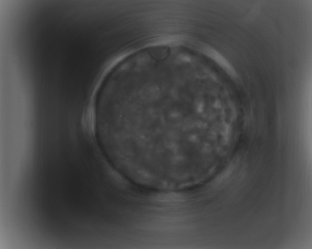 X0000100761079200807031145