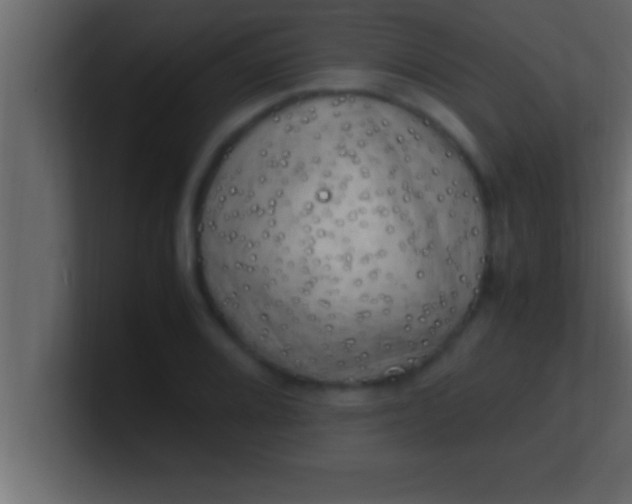 X0000100761080200807031145