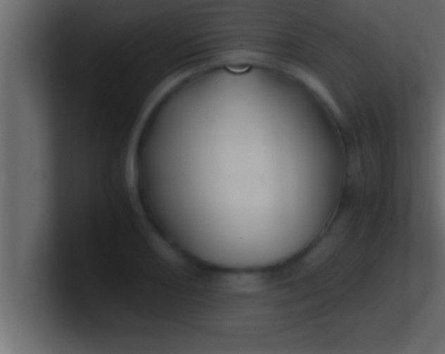 X0000100761082200807031145