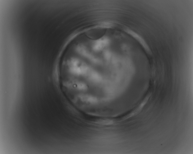 X0000100761083200807031145