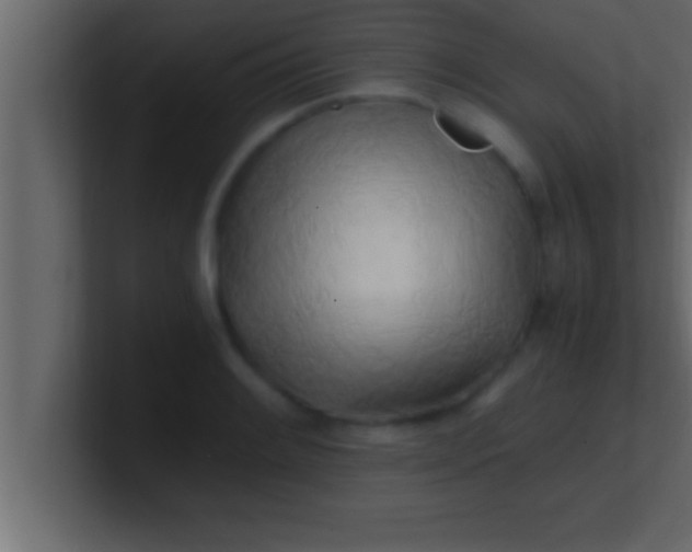 X0000100761084200807031145