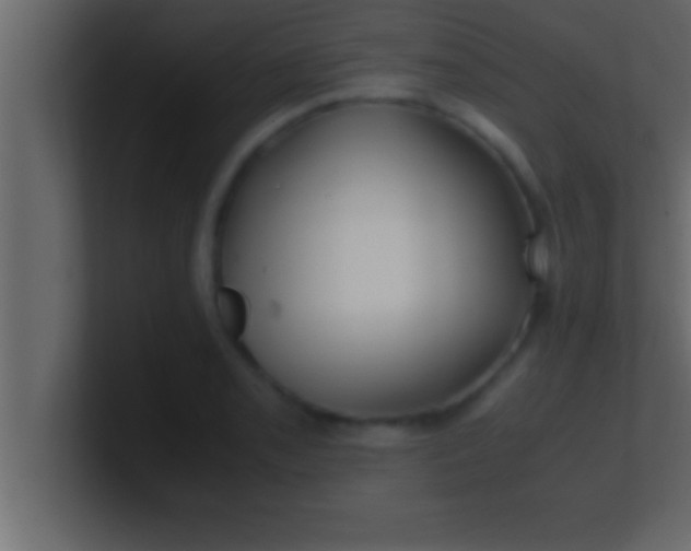 X0000100761085200807031145