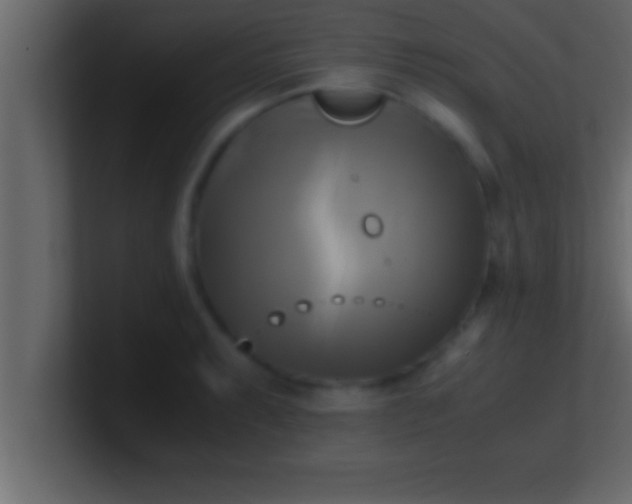 X0000100761087200807031145